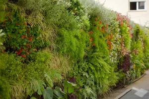 Diseño y Arquitectura de Exteriores: Tendencias para 2024