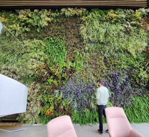Tendencias en Jardines Verticales Profesionales: Inspiración para el 2024