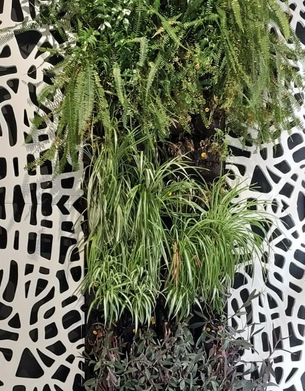 Jardines verticales en Ignasi Conillas. Descubre las tendencias para este 2024